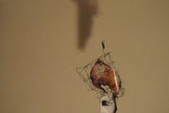 gaffa-5-scaled-e1666536865833